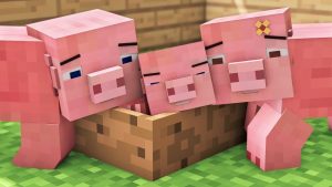 Best Minecraft Mobs