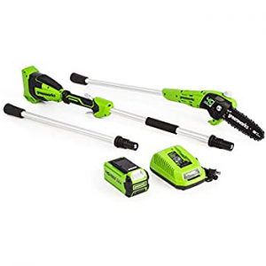 Best Electric Pole Saws