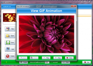 Best Tools To Create Animated GIF’s