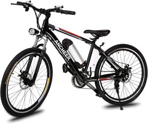 Electric Bikes