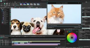 Free Video Editing Software