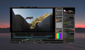 Free Video Editing Software