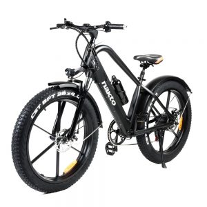 Electric Bikes