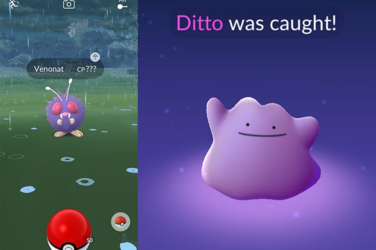 How to Get a Ditto in Pokemon Go? AmazeInvent