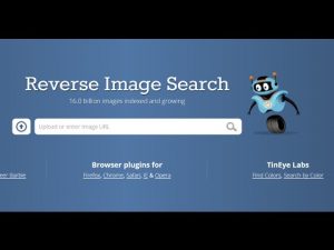 Reverse Image Search