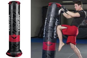 Best Free Standing Punch Bags