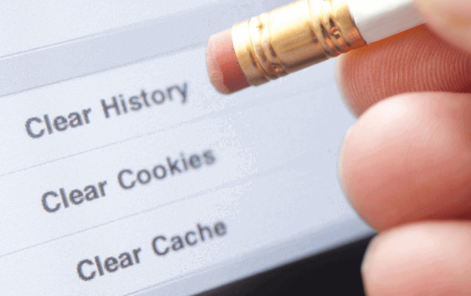 Delete Search History in the Browser