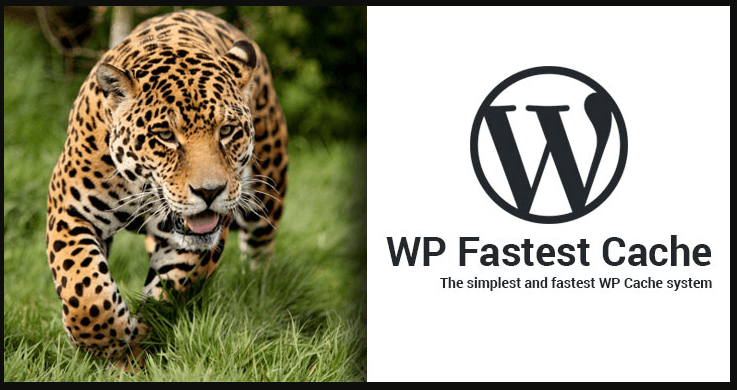 WordPress plugins for gzip compression