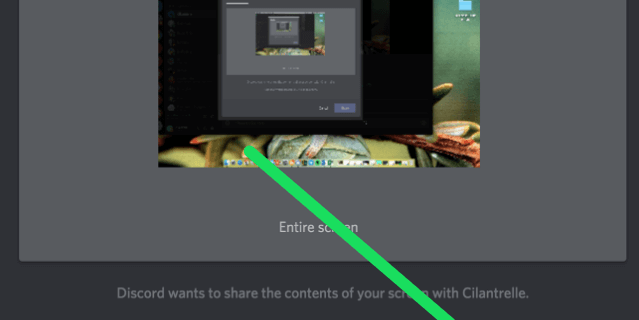 Enable Screen Share In Discord Server