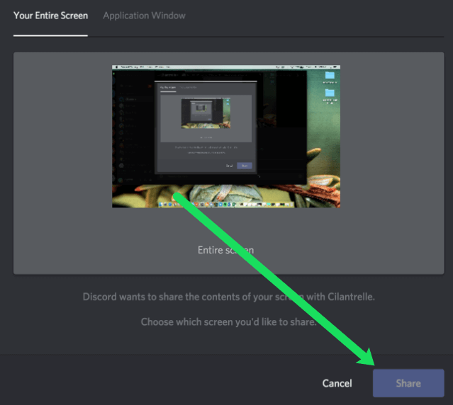 how to turn off someone screen sharing discord