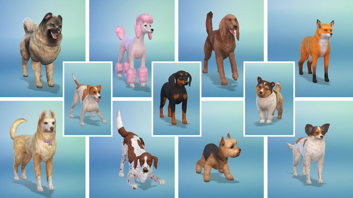 the sims 4 all dlc cats and dogs