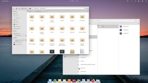 Elementary OS