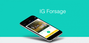 IG Forsage Instagram followers app